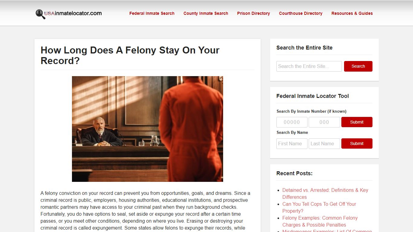 How Long Does A Felony Stay On Your Record? - USA Inmate Locator